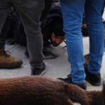 Boğaziçi Direnişi